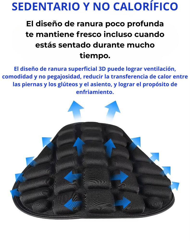 Cojín inflable para motocicleta