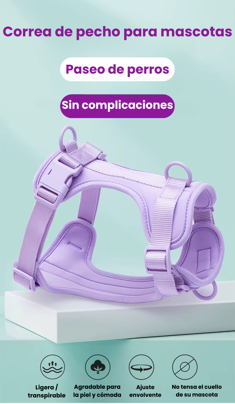 Correa y pechera Canina